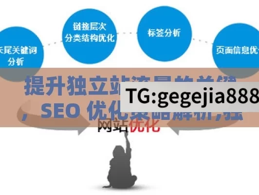 提升独立站流量的关键，SEO 优化策略解析,独立站SEO优化，提升网站流量的关键策略