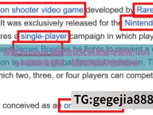 探索 Google 蜘蛛池优化的奥秘与策略,Google蜘蛛池优化，提升网站排名的秘诀