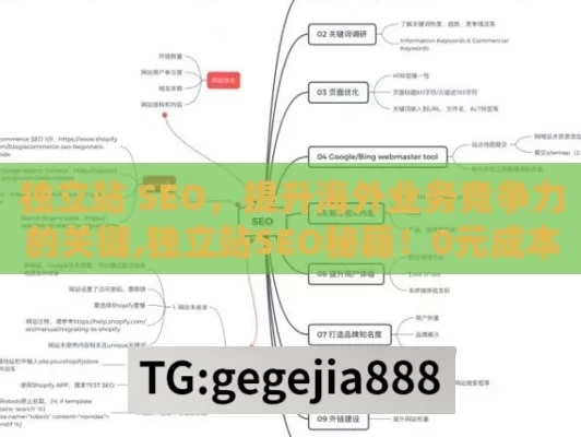 独立站 SEO，提升海外业务竞争力的关键,独立站SEO秘籍！0元成本引爆流量