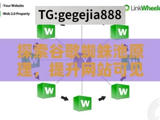 探索谷歌蜘蛛池原理，提升网站可见性的关键,揭秘谷歌蜘蛛池，网络爬虫的秘密武器