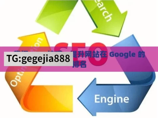 掌握 SEO 技巧，提升网站在 Google 的排名，掌握 SEO 技巧，助力 Google 排名提升