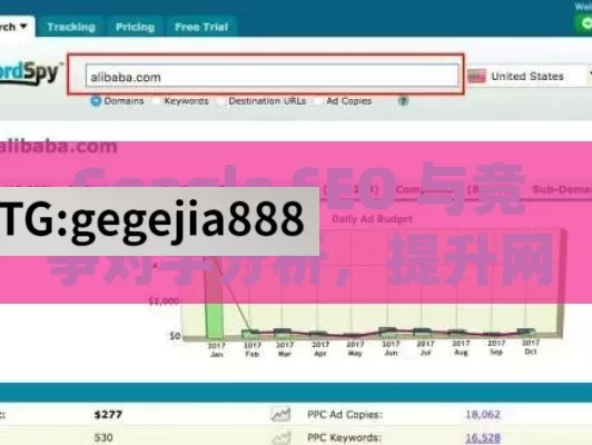 Google SEO 与竞争对手分析，提升网站竞争力的关键,Google SEO与竞争对手分析方法深度揭秘