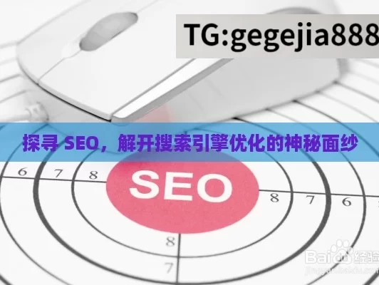 探寻 SEO，解开搜索引擎优化的神秘面纱