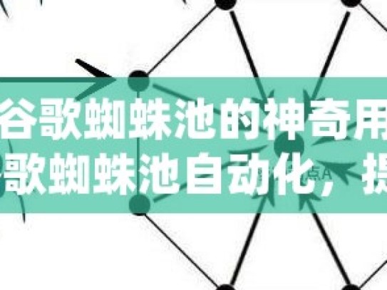 探索谷歌蜘蛛池的神奇用途揭秘谷歌蜘蛛池自动化，提升SEO效率的幕后英雄