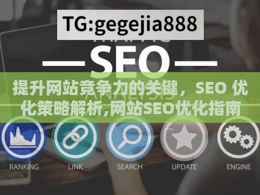 提升网站竞争力的关键，SEO 优化策略解析,网站SEO优化指南