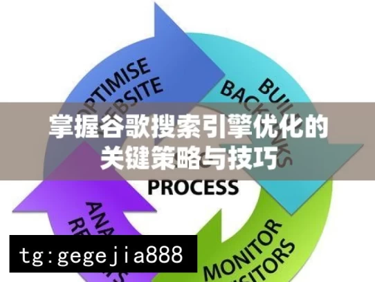 掌握谷歌搜索引擎优化的关键策略与技巧，掌握谷歌搜索引擎优化之关键