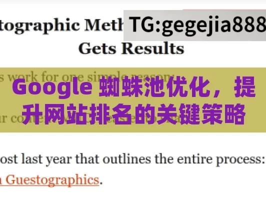 Google 蜘蛛池优化，提升网站排名的关键策略,掌握Google蜘蛛池优化技巧