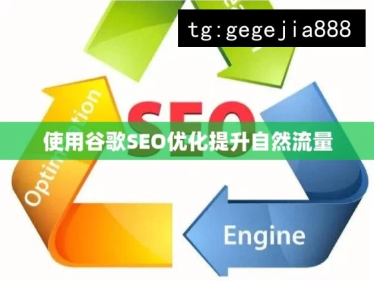 使用谷歌SEO优化提升自然流量，借助谷歌 SEO 优化增加自然流量