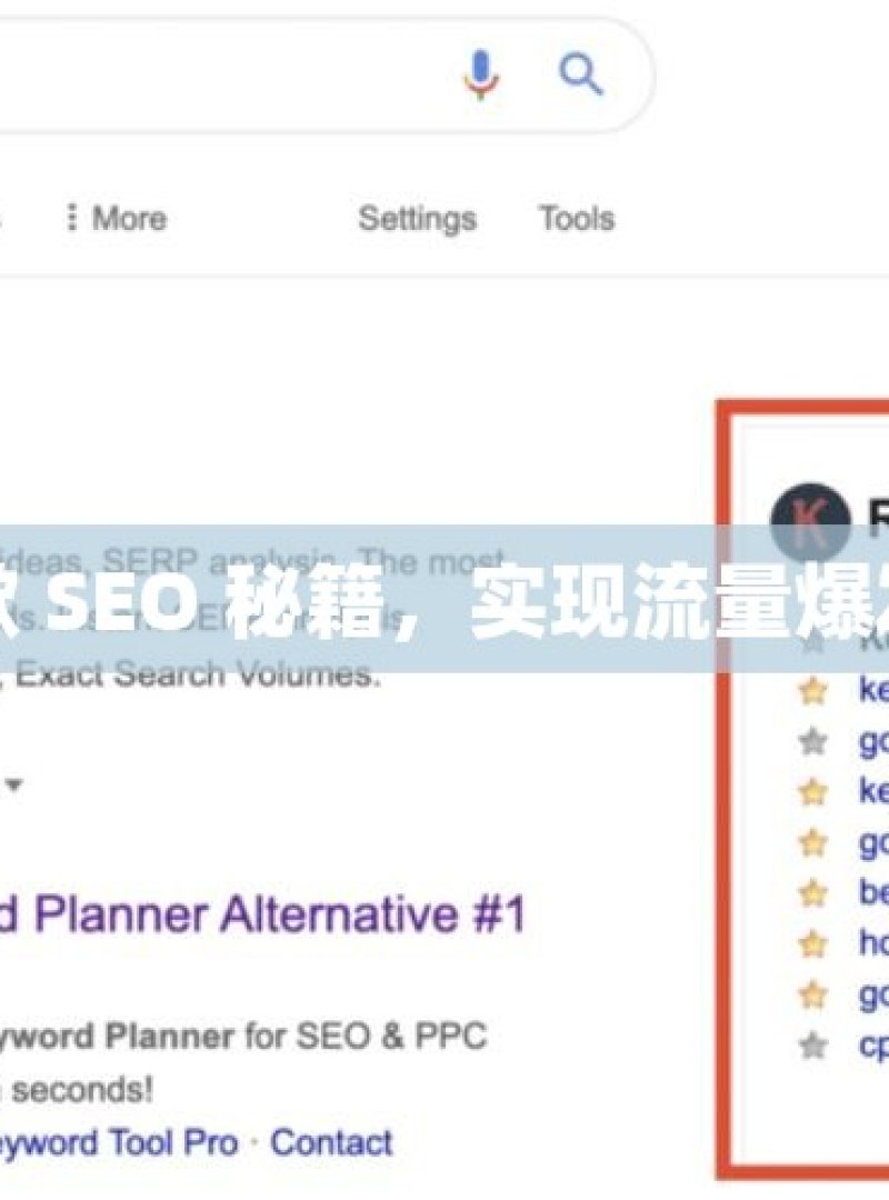 掌握谷歌 SEO 秘籍，实现流量爆发式增长