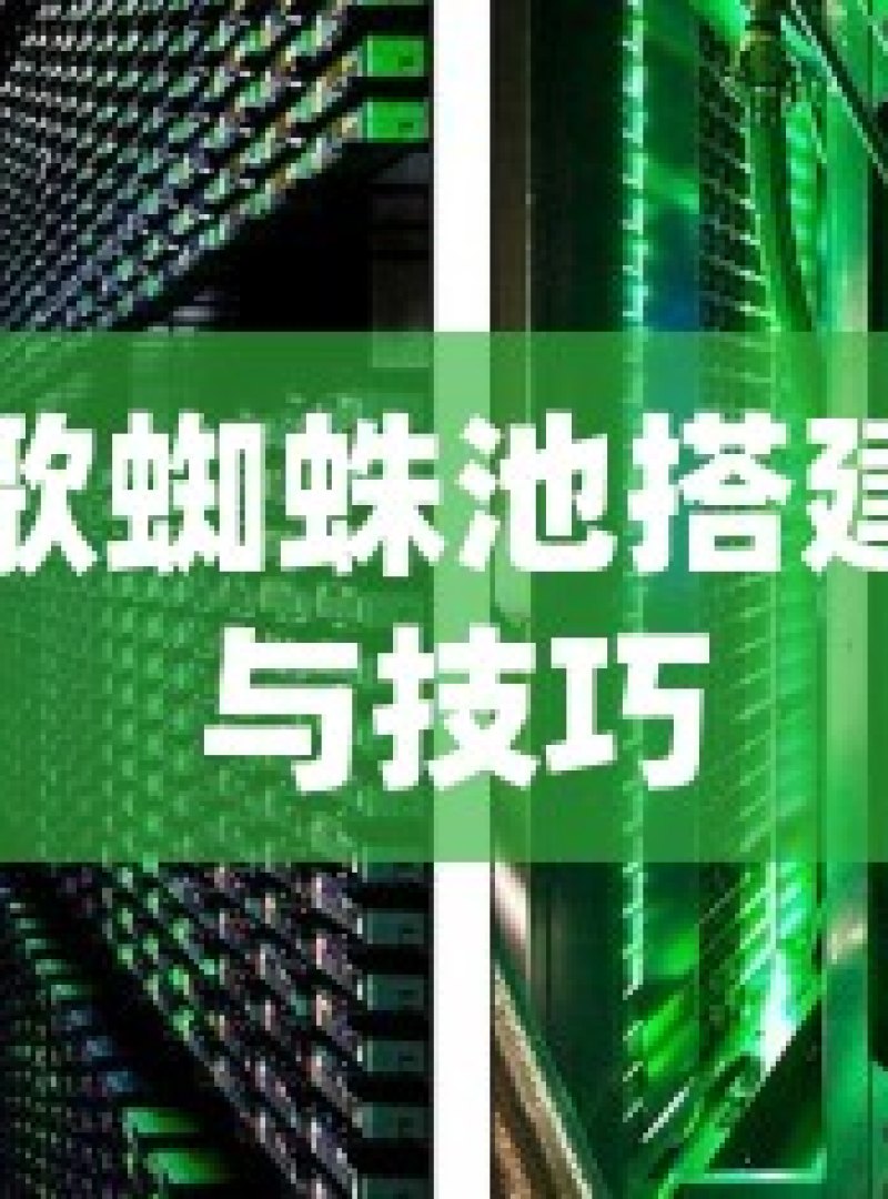 探索谷歌蜘蛛池搭建的奥秘与技巧