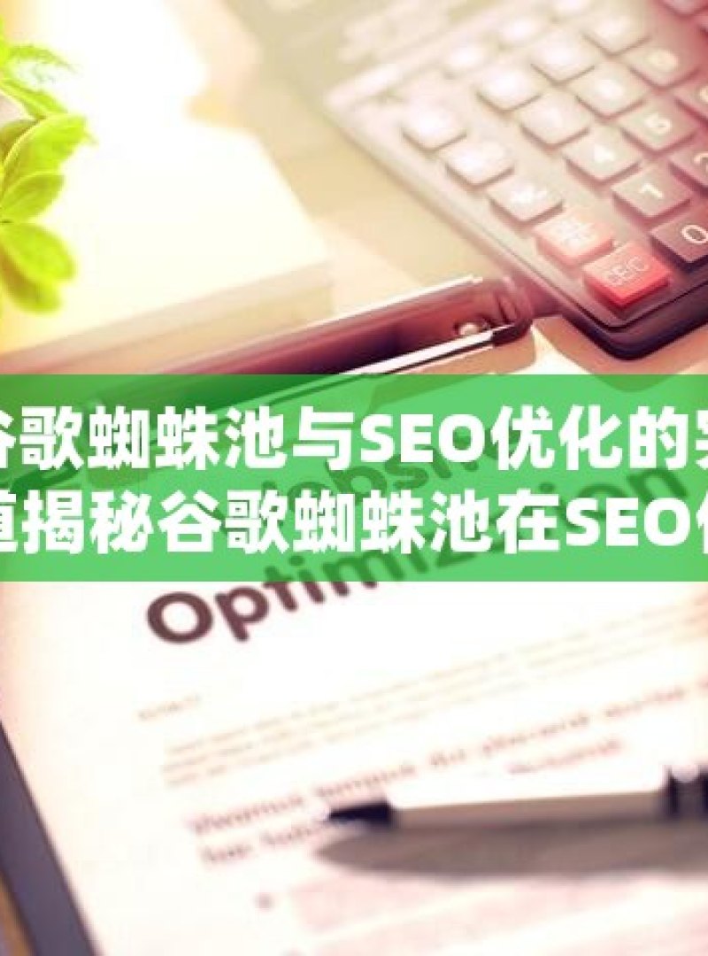 探索谷歌蜘蛛池与SEO优化的完美融合之道揭秘谷歌蜘蛛池在SEO优化中的秘密武器！