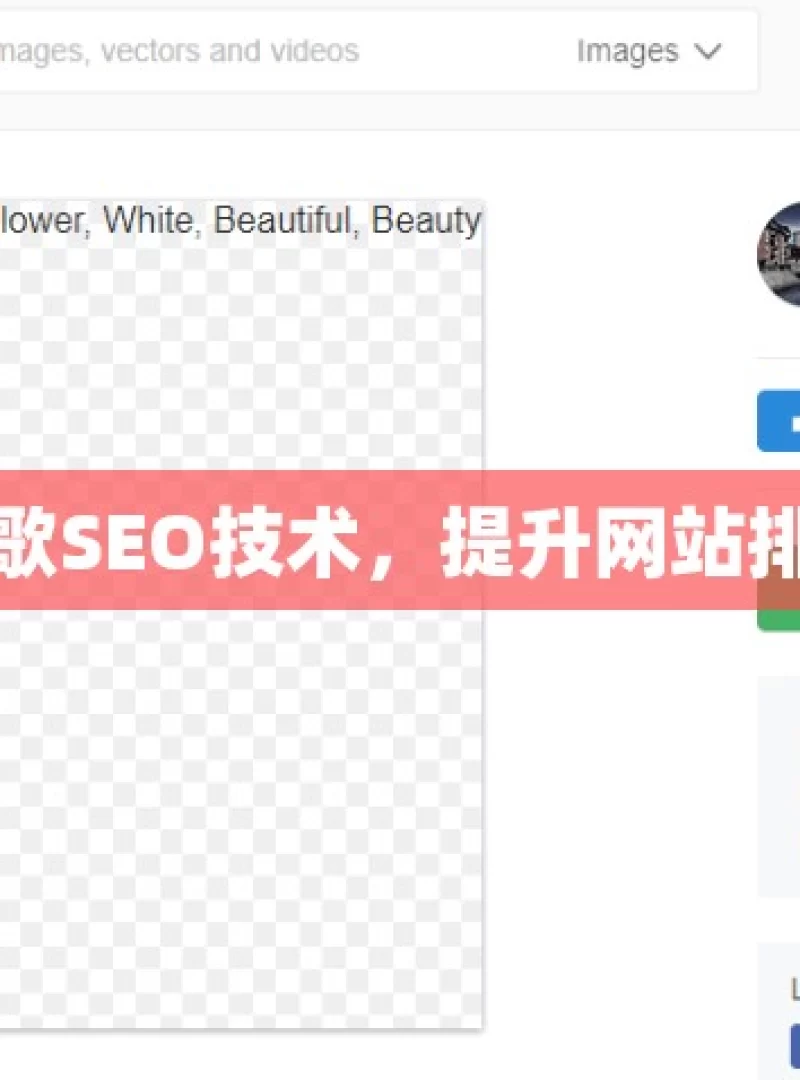 掌握谷歌SEO技术，提升网站排名秘籍