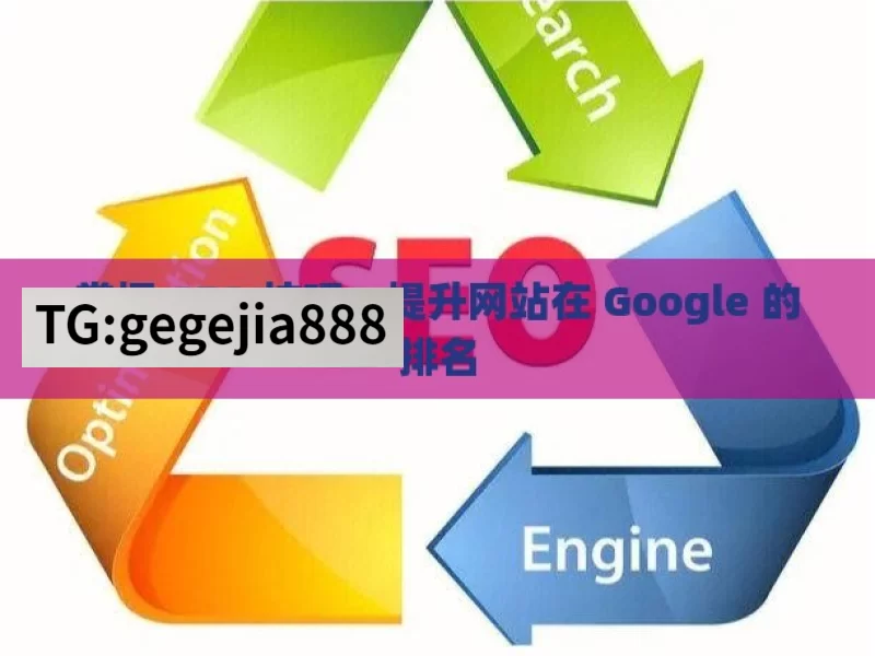 掌握 SEO 技巧，提升网站在 Google 的排名