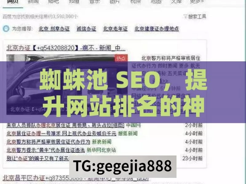 蜘蛛池 SEO，提升网站排名的神秘武器，蜘蛛池 SEO，网站排名提升之秘