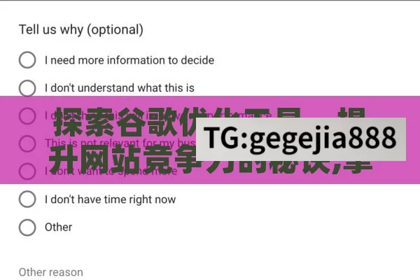 探索谷歌优化工具，提升网站竞争力的秘诀,掌握谷歌优化工具，提升网站排名