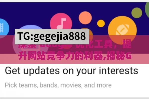 探索 Google 优化工具，提升网站竞争力的利器,揭秘Google优化工具，提升网站排名的秘诀
