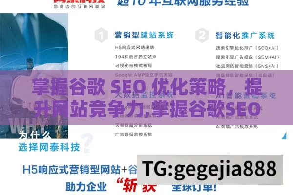 掌握谷歌 SEO 优化策略，提升网站竞争力,掌握谷歌SEO优化的秘诀