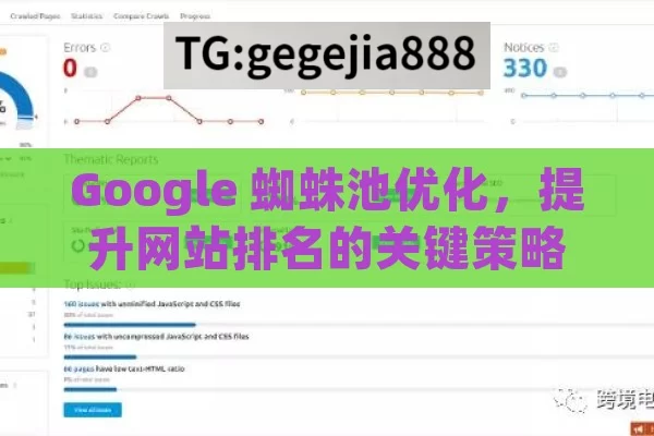 Google 蜘蛛池优化，提升网站排名的关键策略,掌握Google蜘蛛池优化技巧