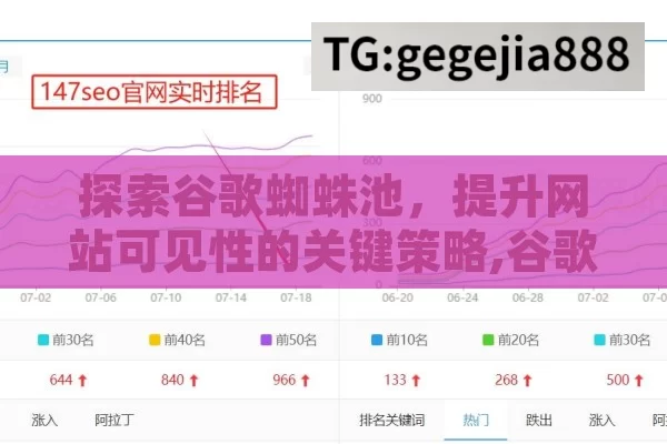 探索谷歌蜘蛛池，提升网站可见性的关键策略,谷歌蜘蛛池，提升网站排名的秘密武器
