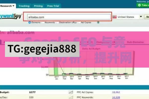 Google SEO 与竞争对手分析，提升网站竞争力的关键,Google SEO与竞争对手分析方法深度揭秘