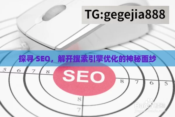 探寻 SEO，解开搜索引擎优化的神秘面纱